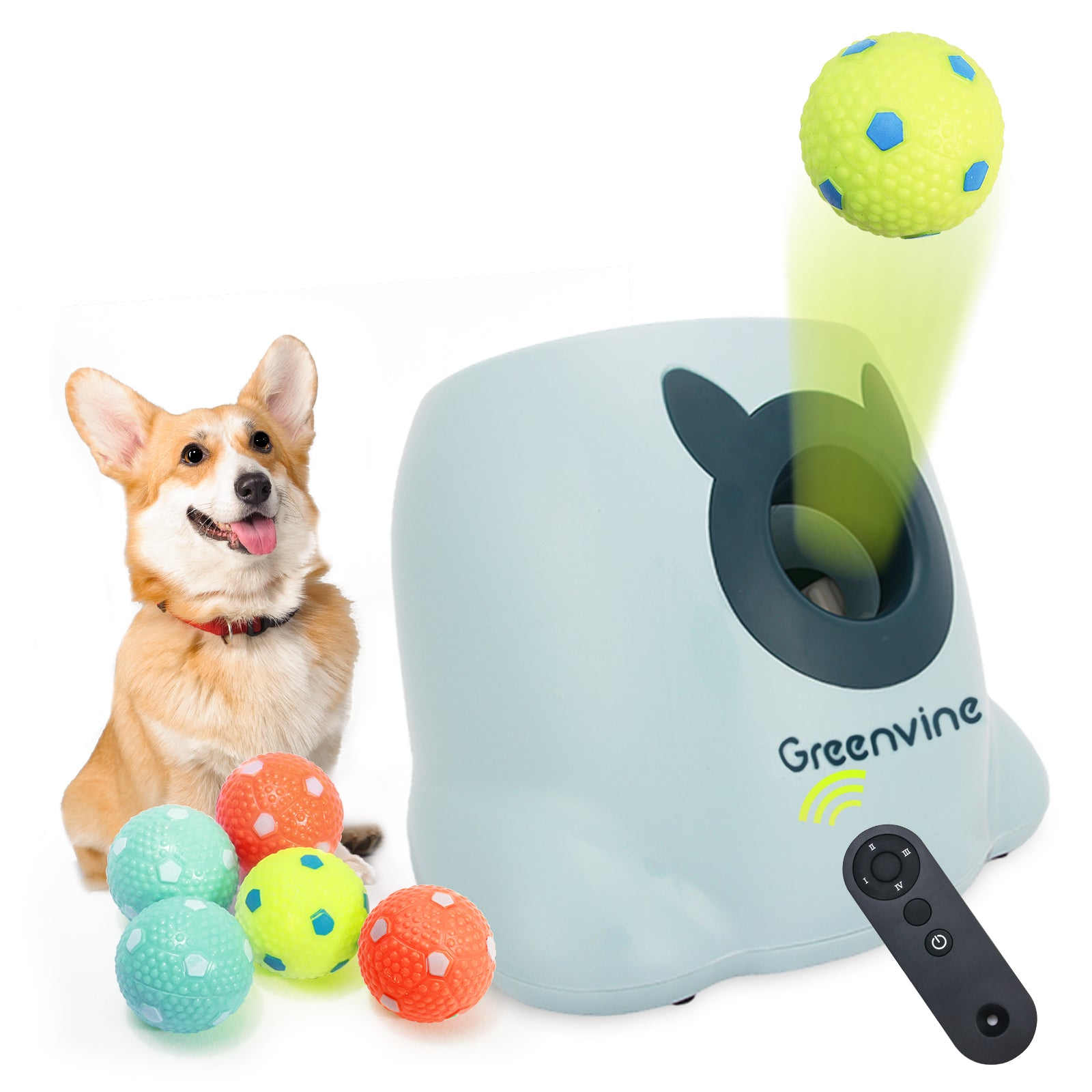 Signature Ball Interactive Dog Toy