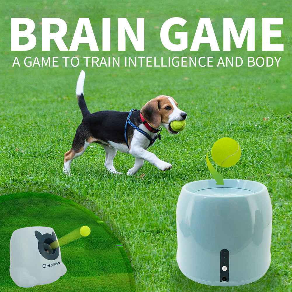 Pet Life Green/Grey 'Roto Paw' IQ Training Interactive Rotating